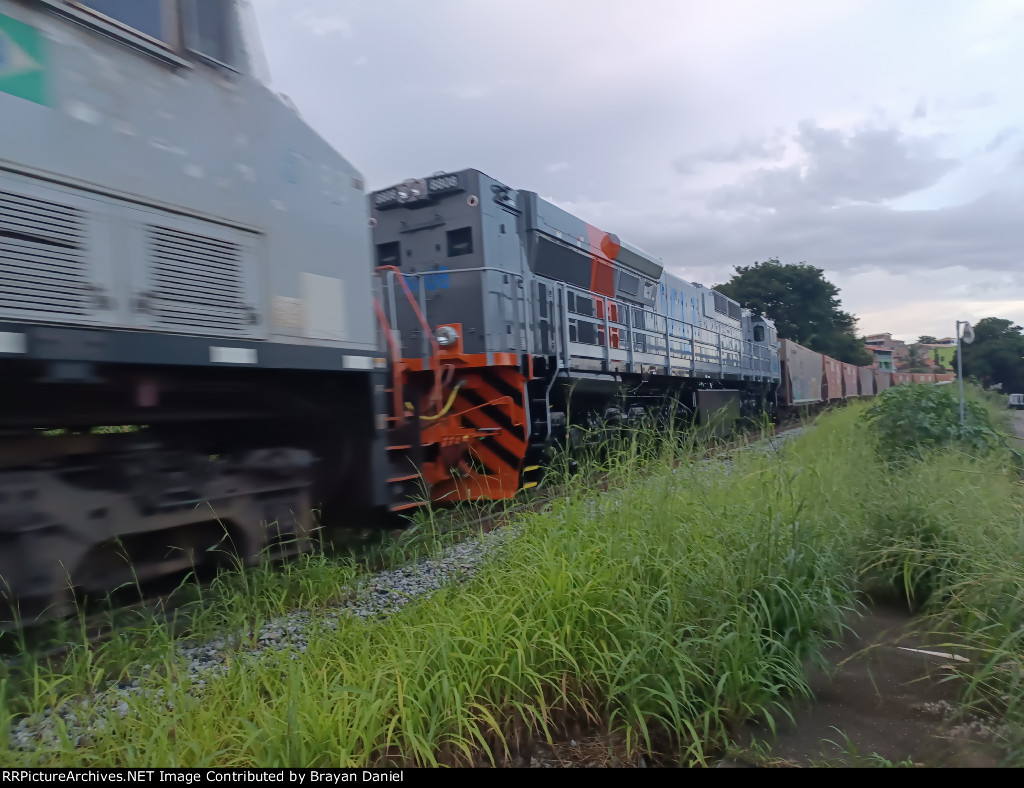 VLI 8808